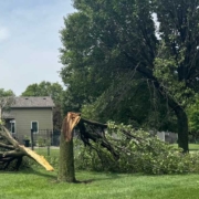 Protect Your HVAC System from Wind